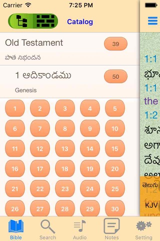 Telugu-English Indian Audio Holy Bible - náhled