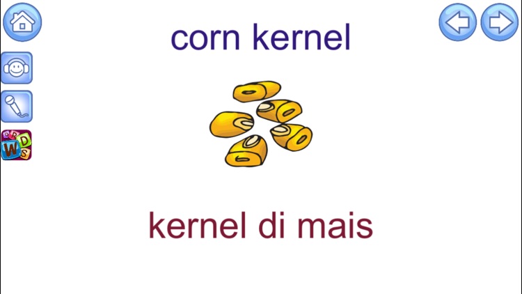 English Picture Dictionary for Italian Speakers