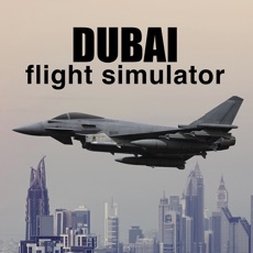 Activities of Dubai Flight Simulator