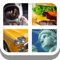 Close Up America - Guess the American Pics Trivia Quiz by Mediaflex Games for Free