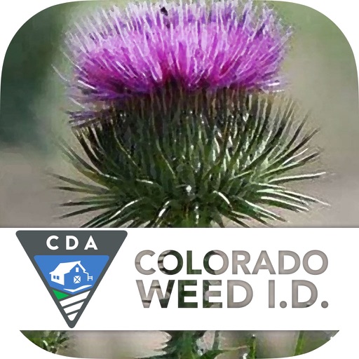 Colorado Noxious Weeds