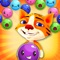 Tiger Cat Bubble Tap - PRO - Fun Match & Blast Ball Color Puzzle