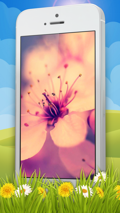 花 壁紙 かわいいです ロック画面 そして フローラル 背景画像 Iphoneアプリ Applion