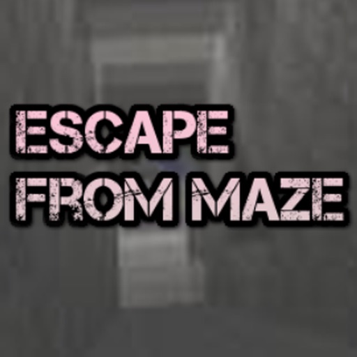 Escape From Maze iOS App