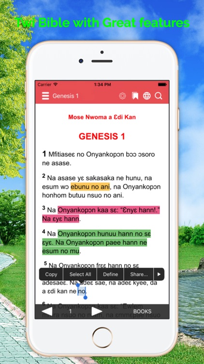 Twi Bible Akan