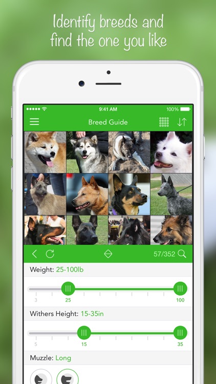 iKnow Dogs 2 LITE - NATURE MOBILE - Dog Breed Guide and Quiz Game