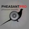 Pheasant calls and pheasant hunting calls with pheasant sounds perfect for pheasant hunting