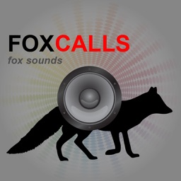 REAL Fox Calls & Fox Sounds for Fox Hunting -- BLUETOOTH COMPATIBLE