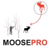 Moose Hunting Strategy Moose Hunter Plan