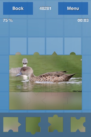 Birds Puzzle Guru screenshot 4