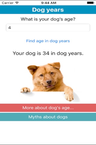My Dog Years screenshot 2