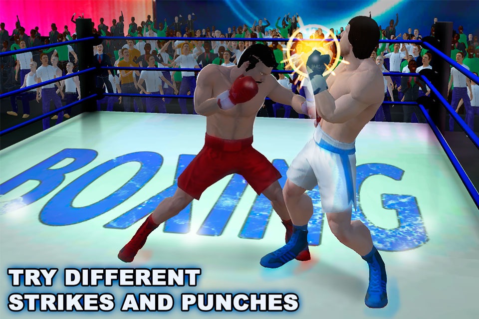 Real Punch Box Fighting 3D screenshot 3