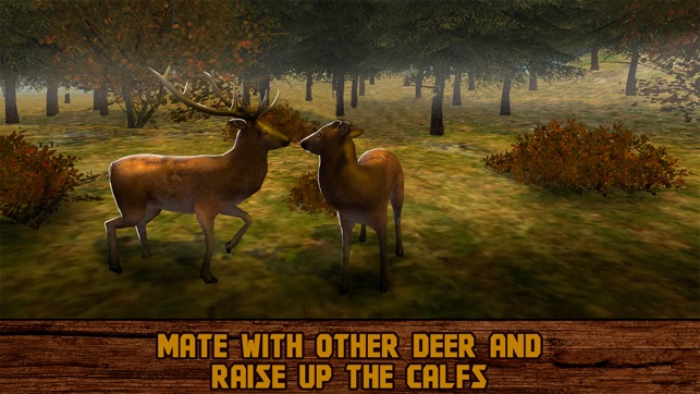 Forest Deer: Wild Survival Full(圖2)-速報App