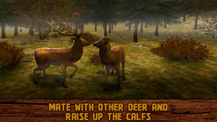 Forest Deer: Wild Survival Full