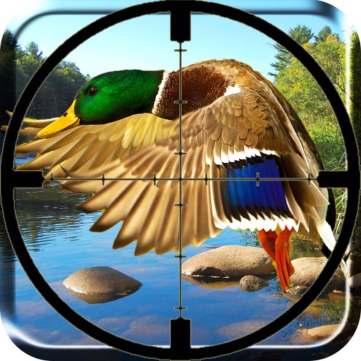 2016 Duck Cool Hunting Pro : The Shoot-ing Pro Hunter Game Free Animals Hunt Season icon