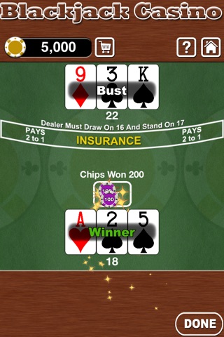Blackjack Casino screenshot 3