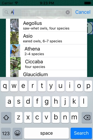 Owl Dictionary Pro screenshot 3