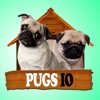 Pugs IO