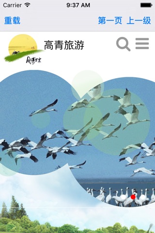 高青旅游 screenshot 2