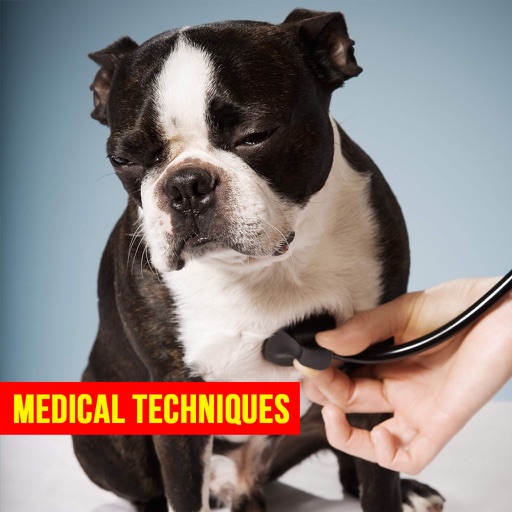 Pet First Aid - Responsibilities of a Pet Owner