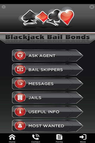 Blackjack Bail Bonds screenshot 4