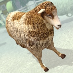 Sheep Racing Adventure in The Tiny Virtual Pet Town