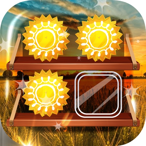 Home Screen Maker – Sunny & Sunrise : Shelf Designer Icon Wallpapers For Pro