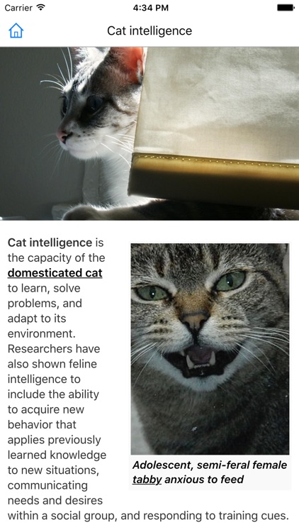 CHI Encyclopedia of Cats screenshot-4