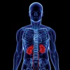 Kidney Disease 101:KIdney Stones,Healthy Diet and Chronic Kidney Disease