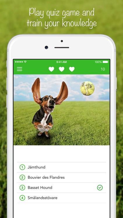 iKnow Dogs 2 LITE - NATURE MOBILE - Dog Breed Guide and Quiz Game screenshot-3