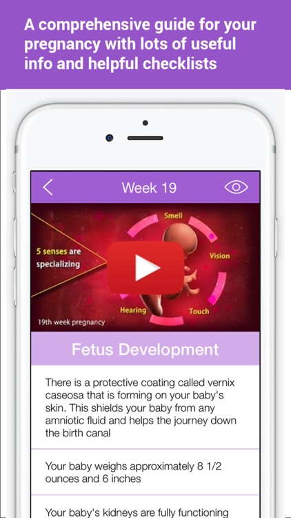 Pregnancy Countdown – Weekly Fetus & Mother Development plus Tips, Information and Checklists