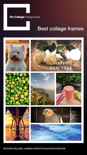 Pic Collage Playgrounds Pro - photo editor and pic collage M(圖4)-速報App