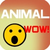 Animal Wow!