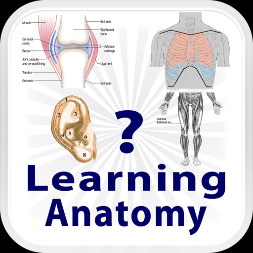 Learning Anatomy Quiz iOS App