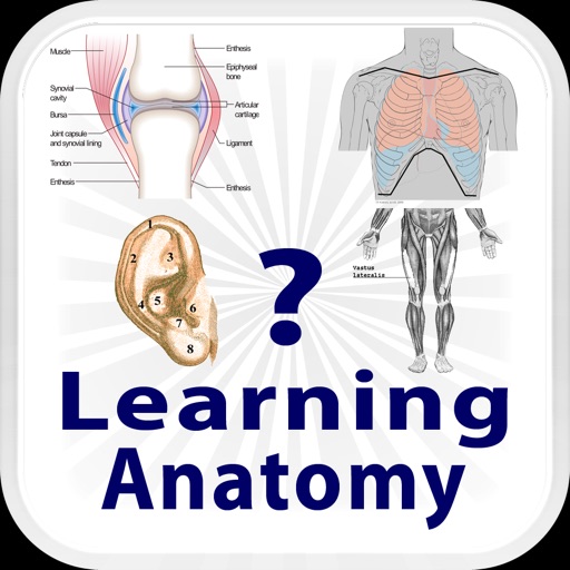 Learning Anatomy Quiz Icon