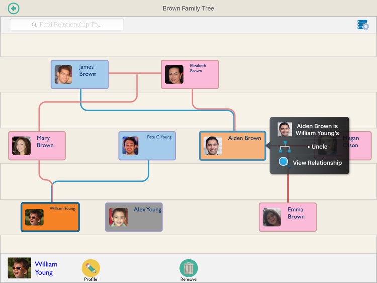 Roots Genealogy