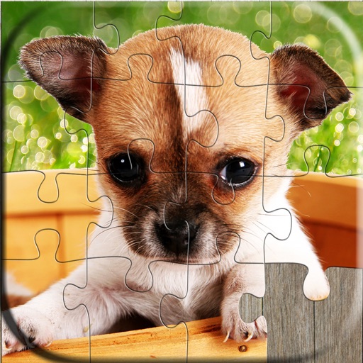 Dog Puzzles - Relaxing photo picture puzzles for kids and adults