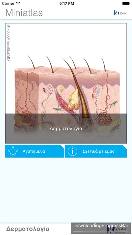 Miniatlas Dermatology