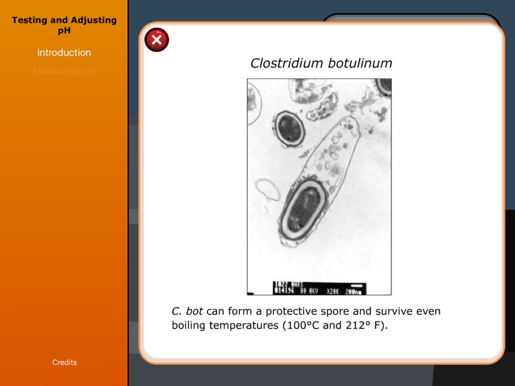 Virtual Labs: Adjusting pH