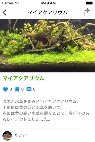 Aqua Forest -水草の森- screenshot 3