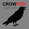 Crow Calls  & Crow Sounds for Hunting - BLUETOOTH COMPATIBLE