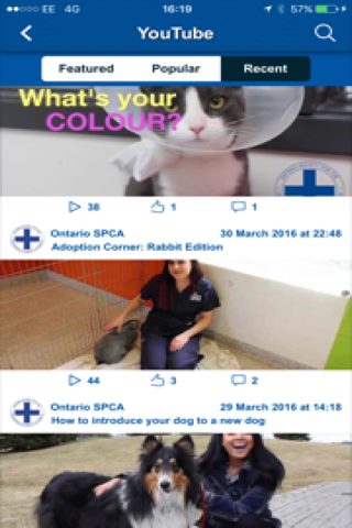 Ontario SPCA screenshot 4