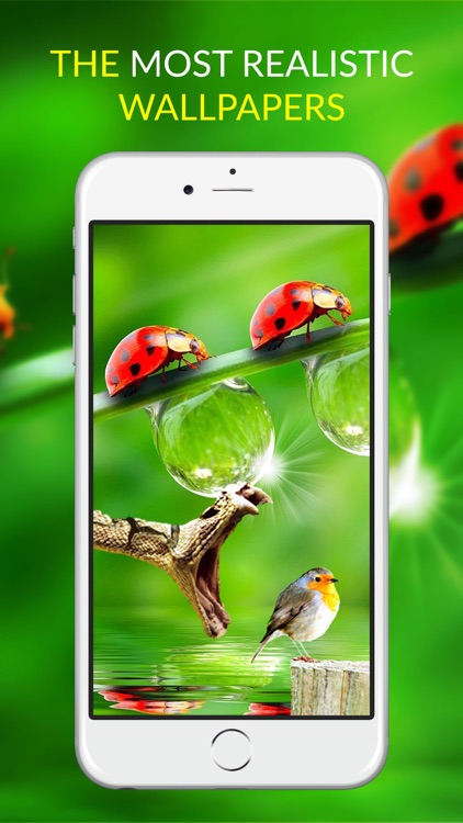 Live Wallpapers for iPhone 6s and 6s Plus - Animated Themes with