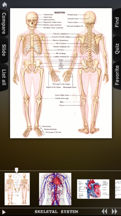 Human Body Database screenshot-3