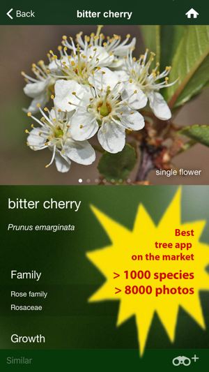 Tree Id USA - identify over 1000 of America's native species(圖2)-速報App