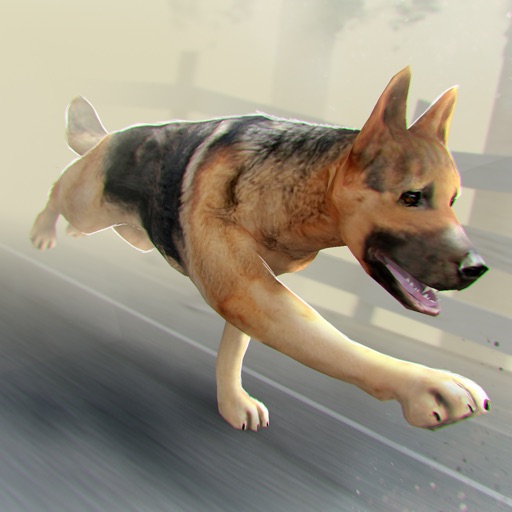 Zombie Doggy | My Cute Dog Racing Escape Game For Free Icon