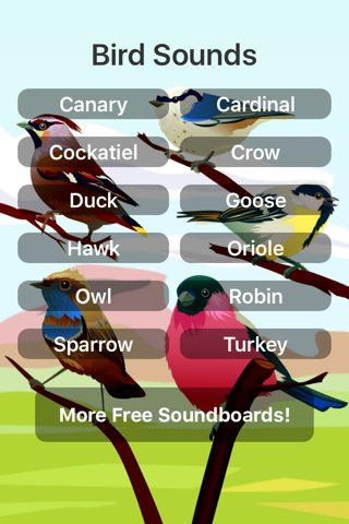 Bird Sounds! - náhled