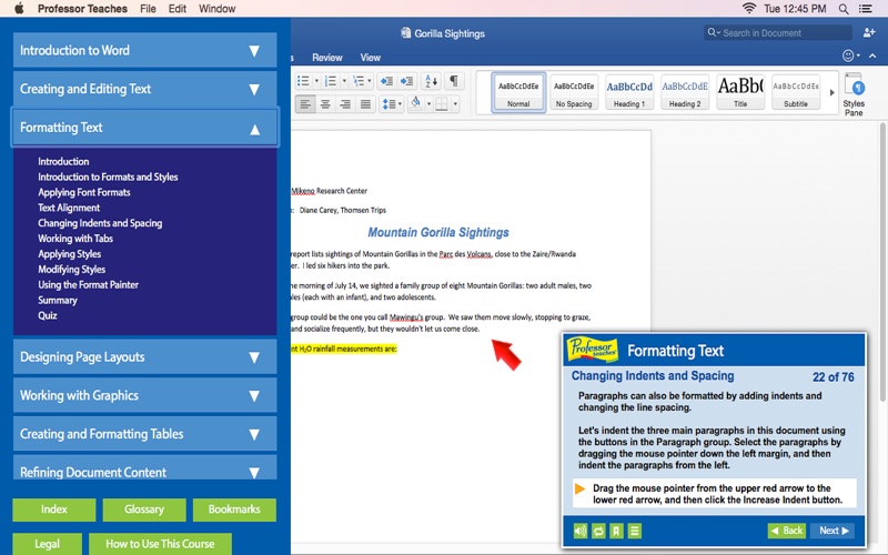 Professor Teaches® for Word 2016 thumbnail 2