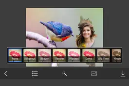 Game screenshot Bird Photo Frames - Creative Frames for your photo hack