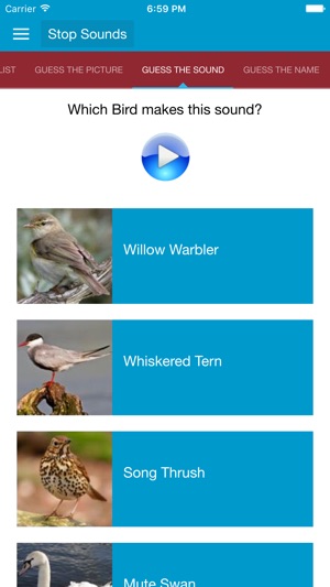 Spanish Birds and Sounds(圖4)-速報App